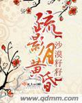 疏影月黄昏封面