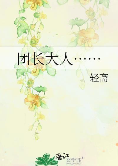 团长大人……封面