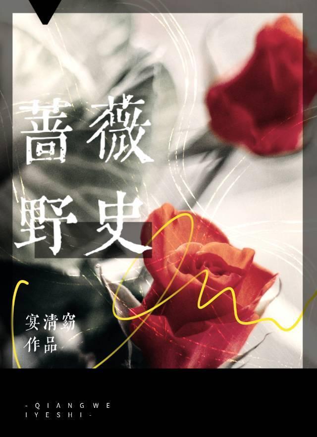 蔷薇野史封面