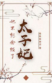 太子妃她不想念经了封面