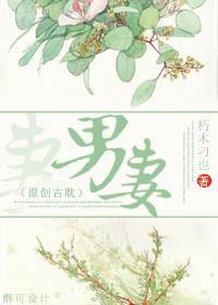 男妻封面