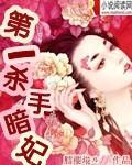 第一杀手暗妃封面