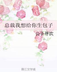 总裁我想给你生包子封面