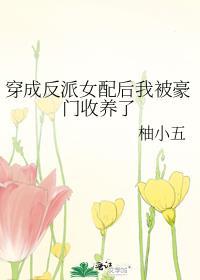 穿成反派女配后我被豪门收养了封面