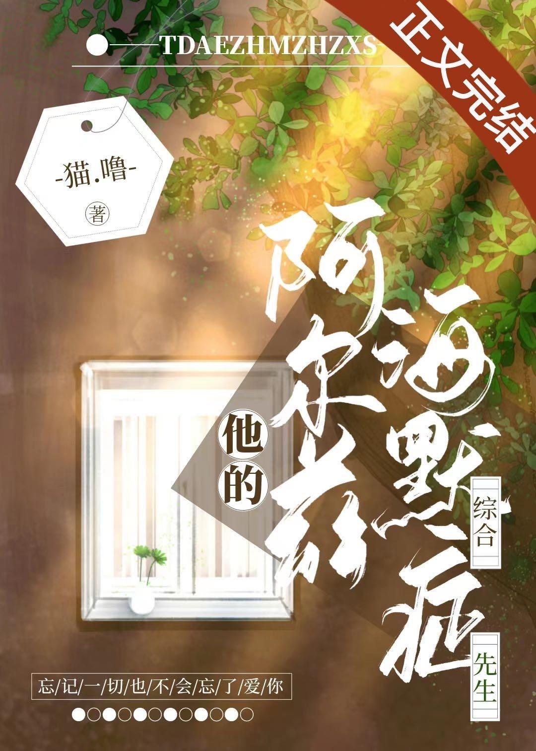 他的阿尔兹海默癥先生封面