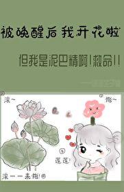 被唤醒后我开花啦封面