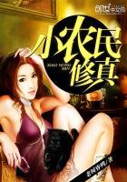 小农民修真封面