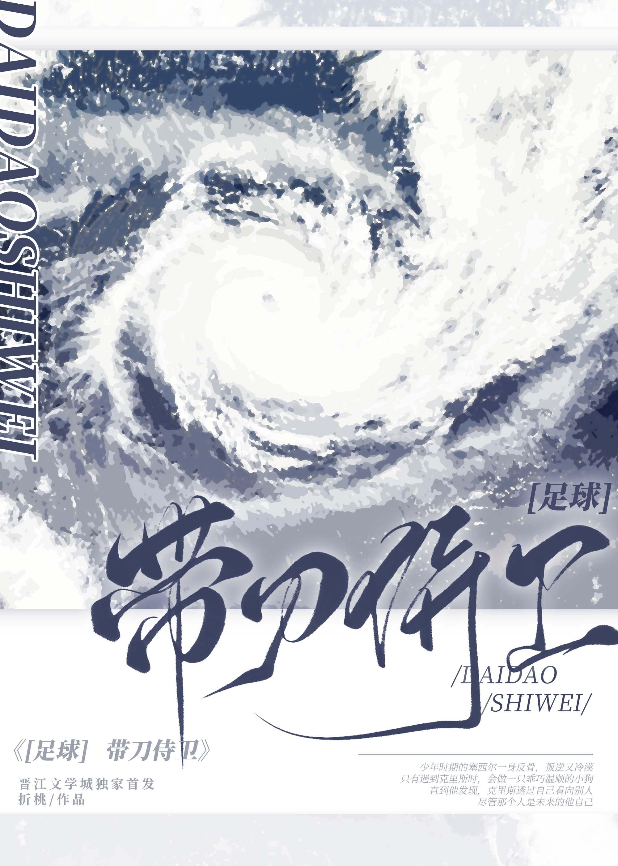 [足球]带刀侍卫封面