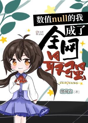 全网最强[全息]封面