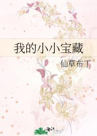 我的小小宝藏封面