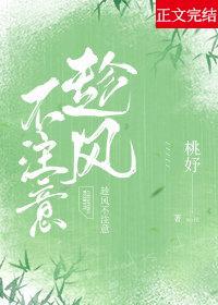 趁风不註意封面