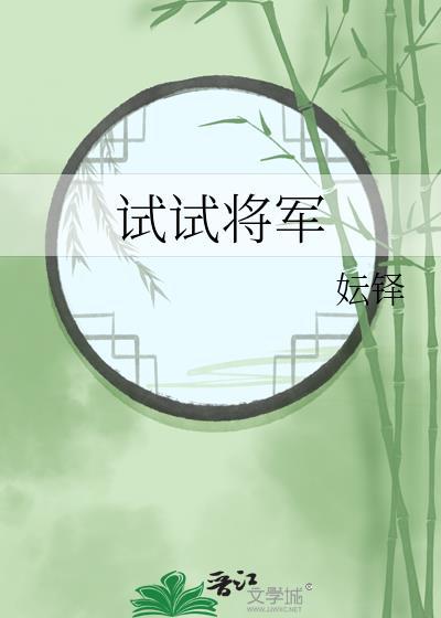 试试将军封面