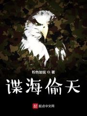 谍海偷天封面