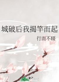 城破后我揭竿而起封面
