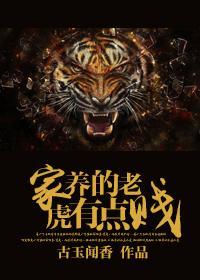 家养的老虎有点贱封面