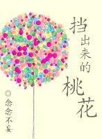 挡出来的桃花封面