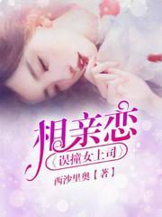 相亲恋：误撞女上司封面