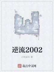 除夕夜离婚封面
