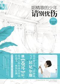 唱情歌的少年请别忧伤封面