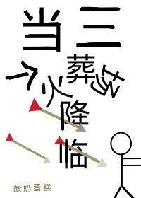 当三个火葬场降临封面