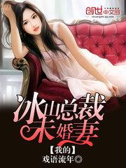 我的冰山总裁未婚妻沈浪封面