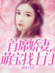首席娇妻，萌宝找上门封面