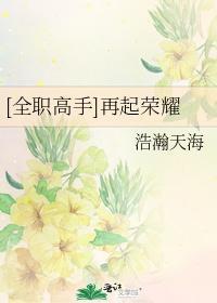再起荣耀封面