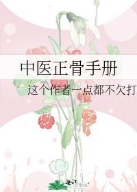 中医正骨手册封面