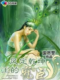 凤定干坤：王的宠臣封面