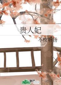 贵人妃封面