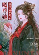 魔尊她为什么不开心封面