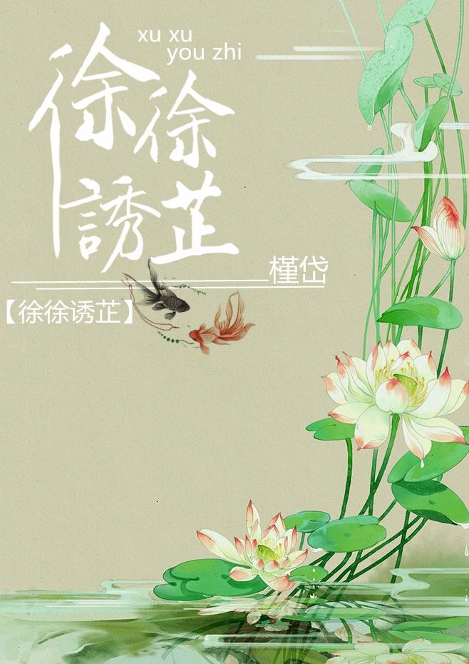 徐徐诱芷封面