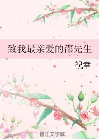 致我最亲爱的邵先生封面