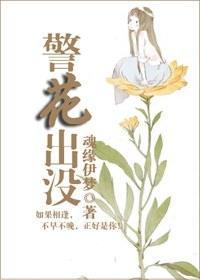 警花出没封面