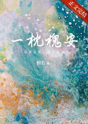 一枕槐安封面