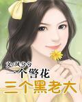 一个警花三个黑老大封面