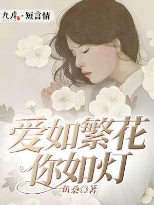 爱如繁花你如灯封面