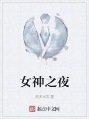 女神之夜封面