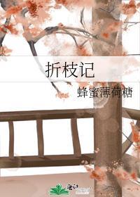 折枝记封面