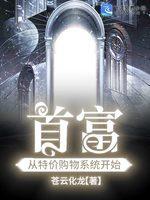 首富从特价购物系统开始封面