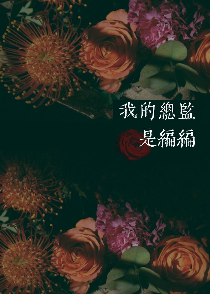我的总监是编编封面