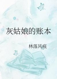 灰姑娘的账本封面