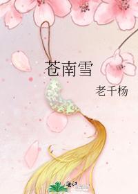 苍南雪封面