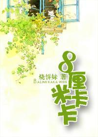 8厘米卡卡封面