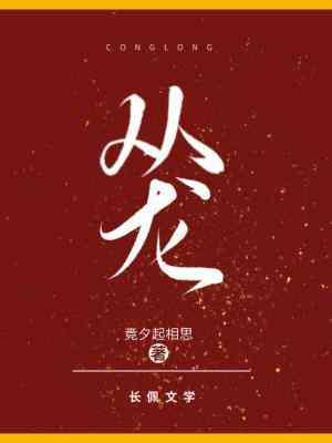 从龙封面