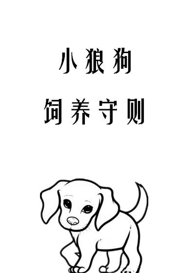 小狼狗饲养守则封面