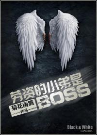 劳资的小弟是BOSS(系统)封面