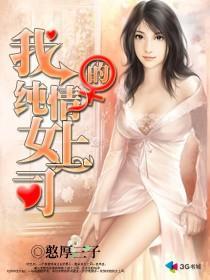 我的纯情女上司封面