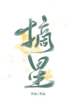 摘星封面
