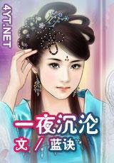 一夜沈沦封面
